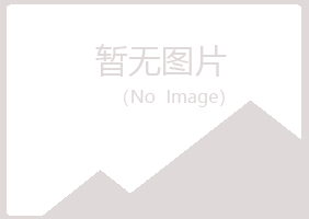 宝山区迷失水泥有限公司